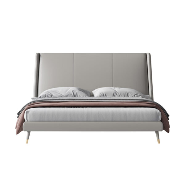 Modern simple light luxury metal double bed