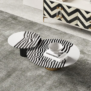 Light Luxury Simple Zebra-print Marble Coffee Table Combination